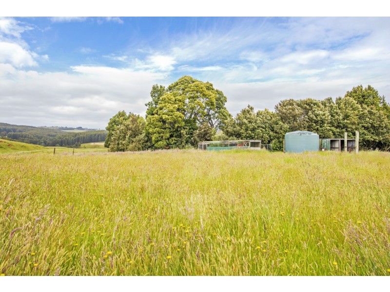 19 Lowries Road, Oldina TAS 7325