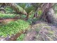 176 Mount Street, Hillcrest TAS 7320