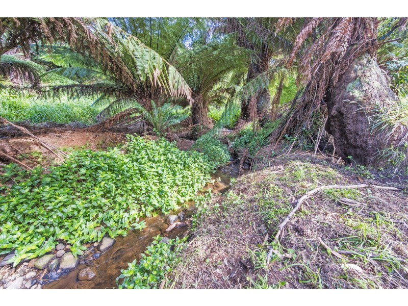 176 Mount Street, Hillcrest TAS 7320