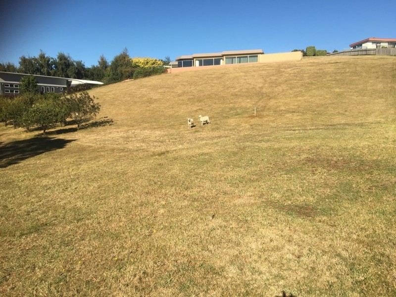 13 Medbury Crescent, Montello TAS 7320