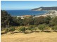 13 Medbury Crescent, Montello TAS 7320