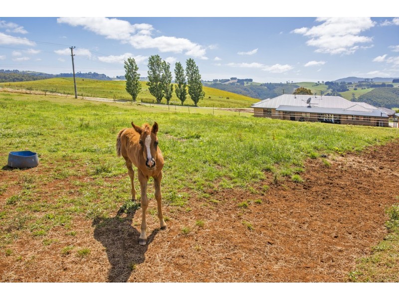 260 Camena Road, Natone TAS 7321