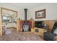 160 Hardys Road, Penguin TAS 7316