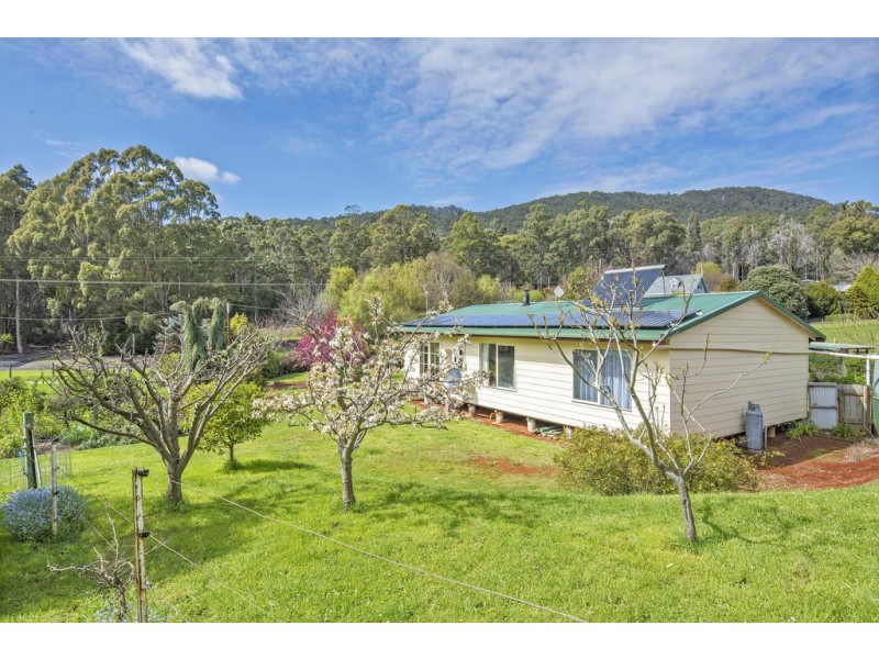 160 Hardys Road, Penguin TAS 7316