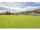 160 Hardys Road, Penguin TAS 7316
