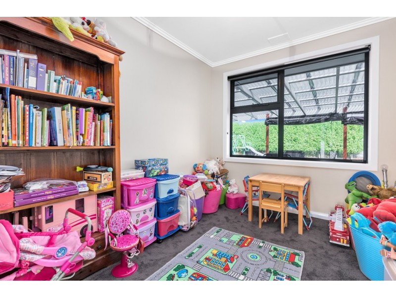 20 Curraghmore Avenue, Park Grove TAS 7320
