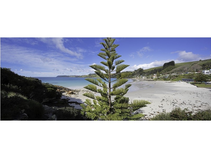317 Port Road, Boat Harbour Beach TAS 7321