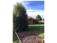 595 Preston Road, North Motton TAS 7315