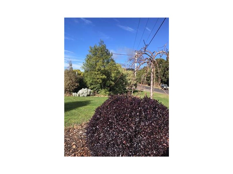 595 Preston Road, North Motton TAS 7315