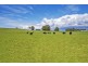 899 Ridgley Highway, Ridgley TAS 7321