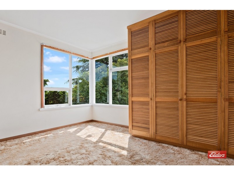 3 Chalk Avenue, Park Grove TAS 7320