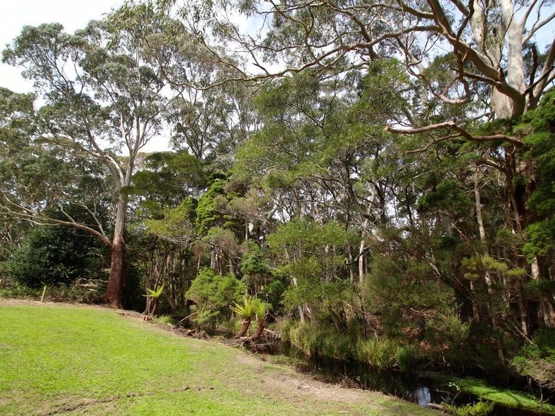 18 Andrew Street, Strahan TAS 7468
