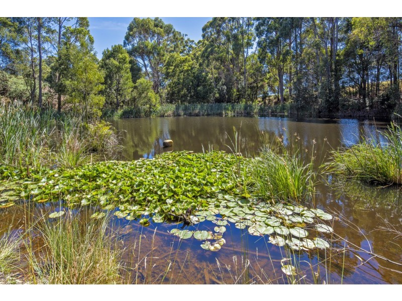 433 Cuprona Road, Cuprona TAS 7316