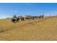 433 Cuprona Road, Cuprona TAS 7316