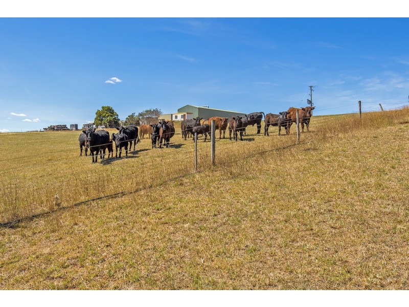 433 Cuprona Road, Cuprona TAS 7316