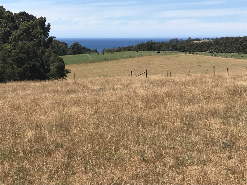 433 Cuprona Road, Cuprona TAS 7316