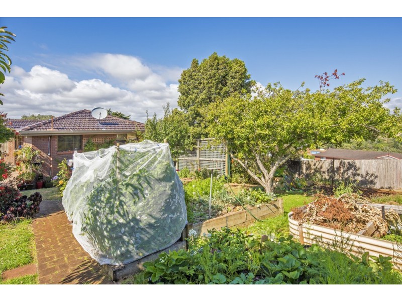 22 Mills Road, Park Grove TAS 7320