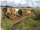 Lot 1, River Road, Wynyard TAS 7325