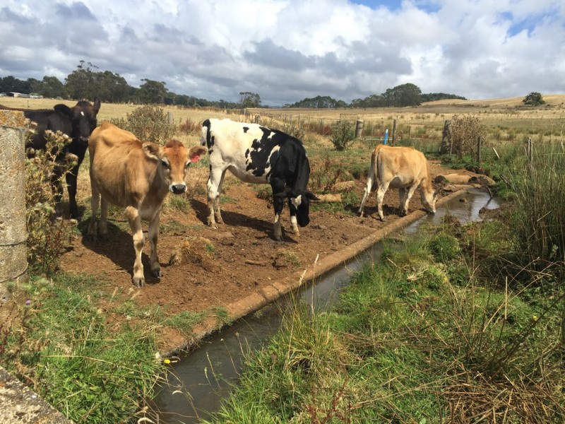 Lot 1, River Road, Wynyard TAS 7325