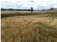 Lot 1, River Road, Wynyard TAS 7325