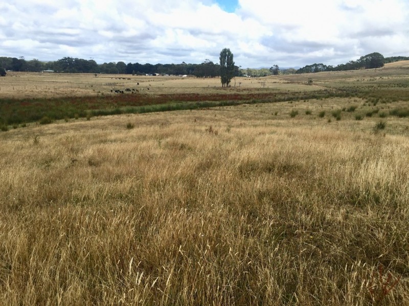 Lot 1, River Road, Wynyard TAS 7325