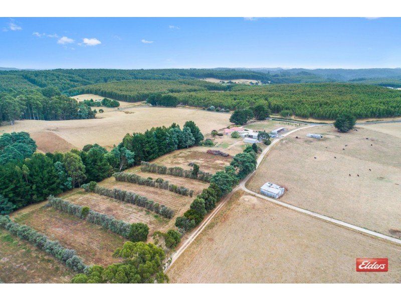 1033 Upper Natone Road, Upper Natone TAS 7321