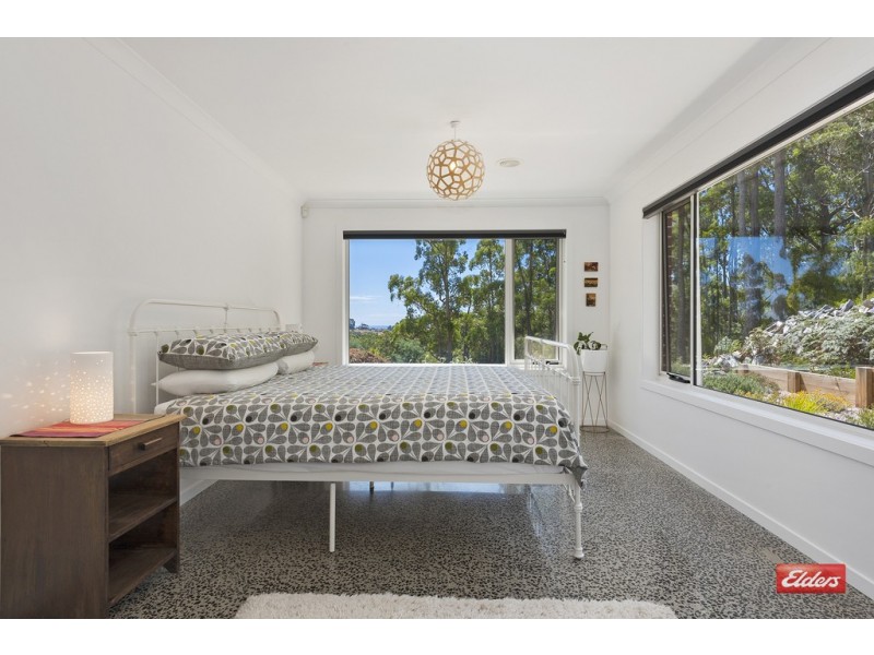 43 Leatherwood Drive, Penguin TAS 7316