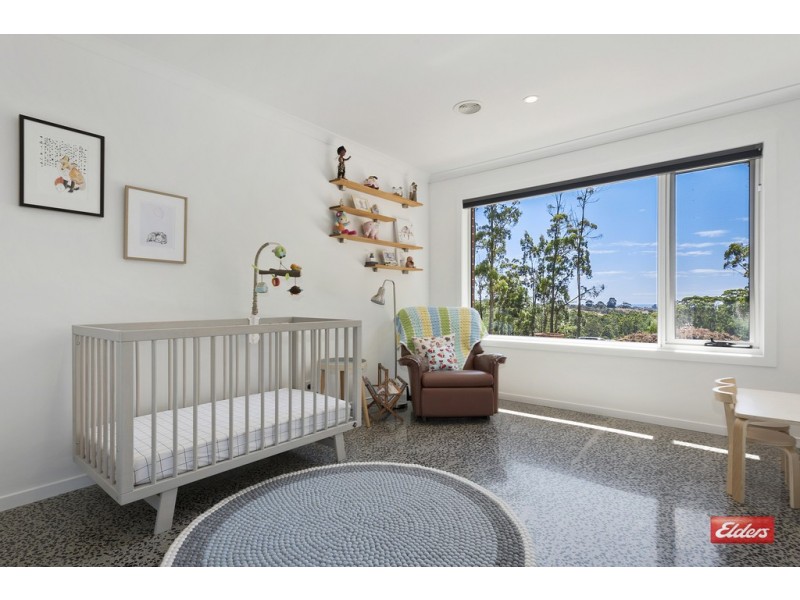 43 Leatherwood Drive, Penguin TAS 7316