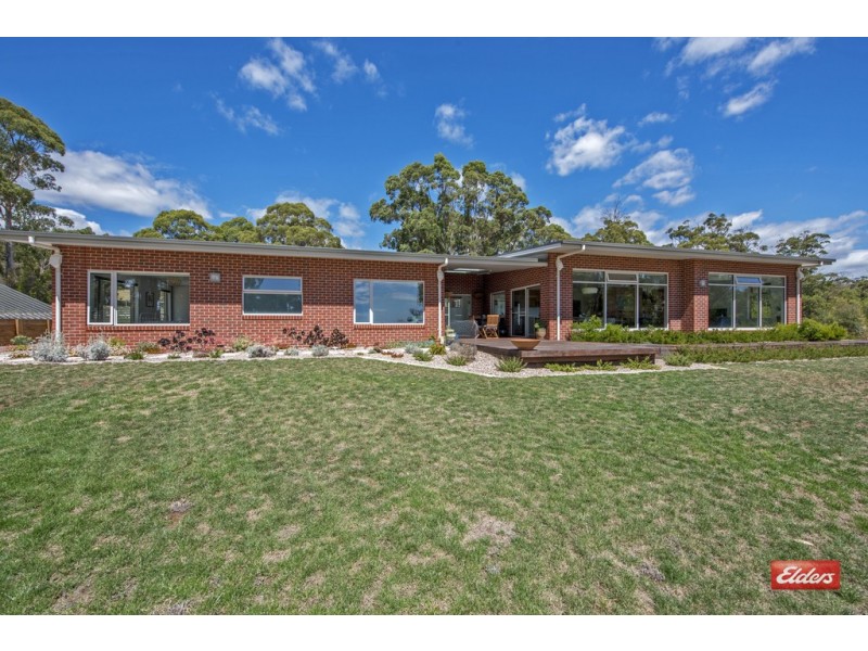 43 Leatherwood Drive, Penguin TAS 7316