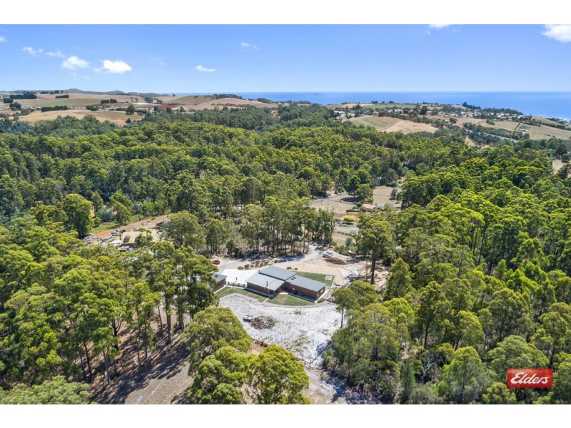 43 Leatherwood Drive, Penguin TAS 7316