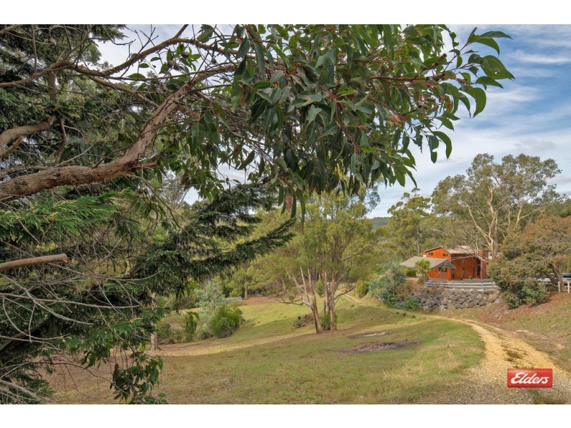 17 Vicevich Road, Somerset TAS 7322