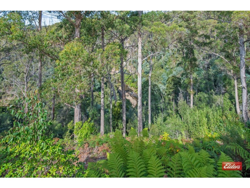 17 Vicevich Road, Somerset TAS 7322