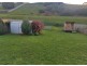 10 Collins Street, Brooklyn TAS 7320