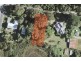 6 Harrison Street, Strahan TAS 7468
