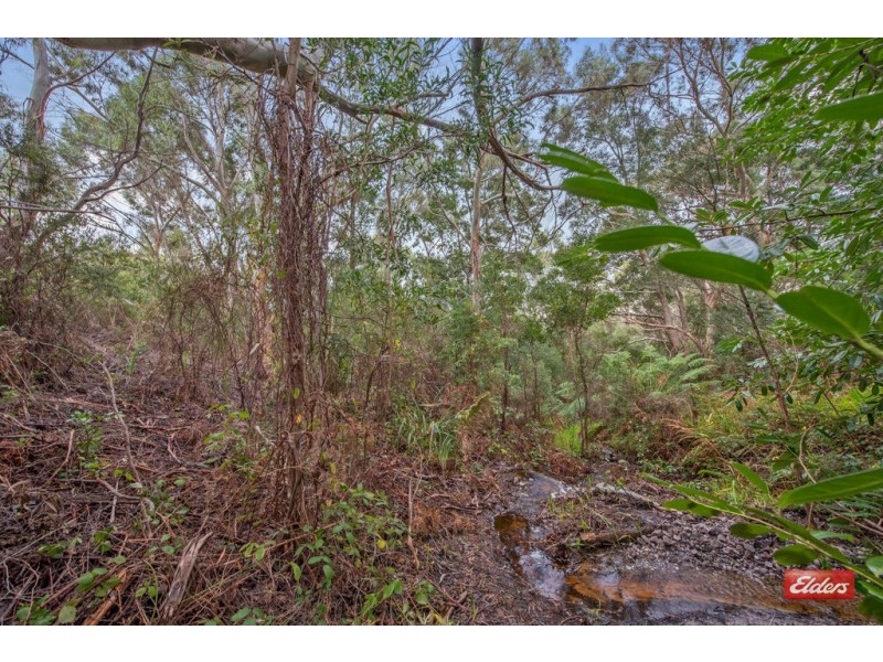 6 Harrison Street, Strahan TAS 7468