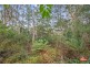 6 Harrison Street, Strahan TAS 7468