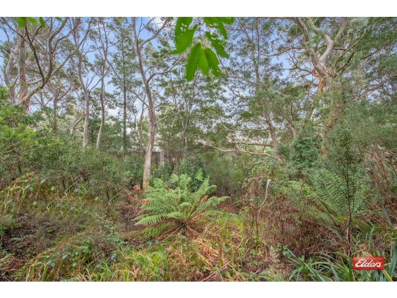 6 Harrison Street, Strahan TAS 7468