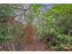 6 Harrison Street, Strahan TAS 7468