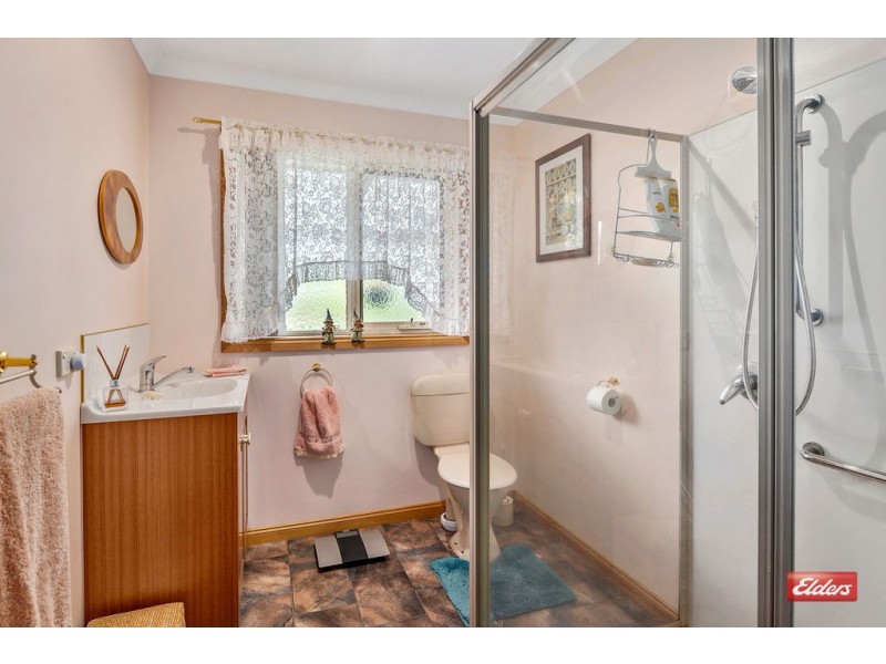 11 West Mooreville Road, Park Grove TAS 7320