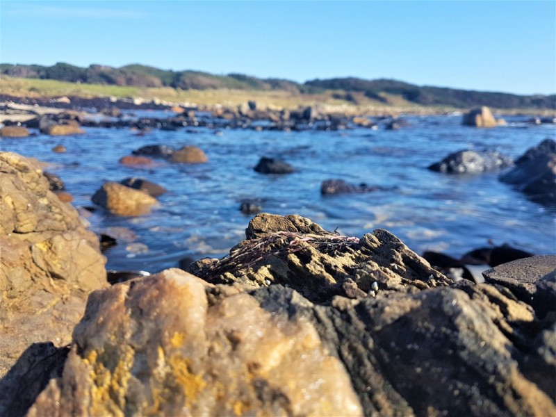 10 Cannonball Drive, Granville Harbour TAS 7469