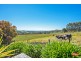279 Village Lane, Somerset TAS 7322