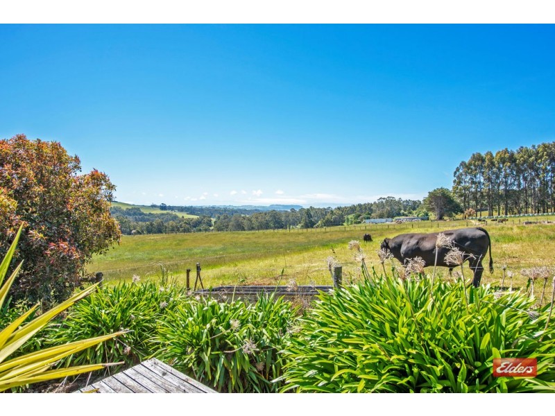 279 Village Lane, Somerset TAS 7322