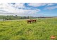 140 Gees Road, Cuprona TAS 7316