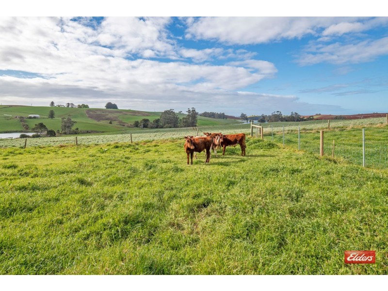 140 Gees Road, Cuprona TAS 7316