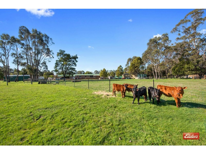 372 Mersey Main Road, Tarleton TAS 7310