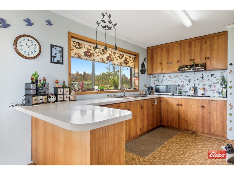 202 Tena Road, Highclere TAS 7321