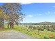 202 Tena Road, Highclere TAS 7321