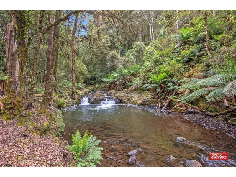 202 Tena Road, Highclere TAS 7321