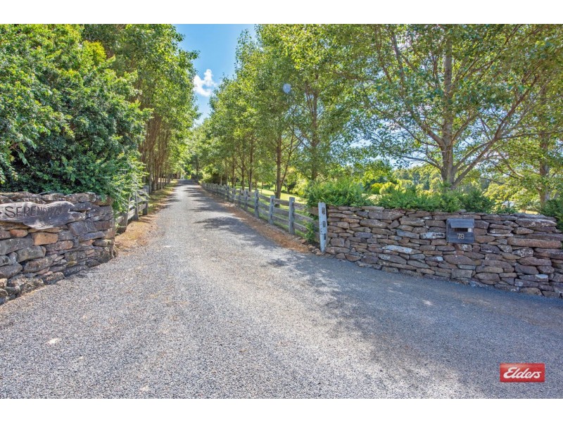 78 West Ridgley Road, Ridgley TAS 7321