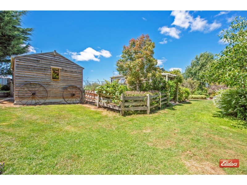 78 West Ridgley Road, Ridgley TAS 7321